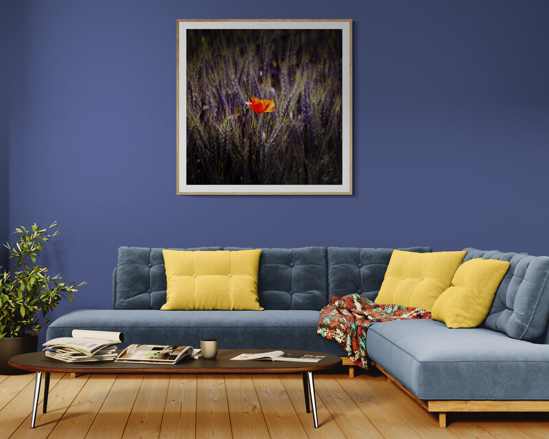 living-area-with-a-corner-sofa-and-cabinet-3 copia